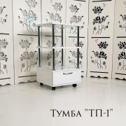 Тележка косметологическая «ТП-1» 750*400*400 Сканди