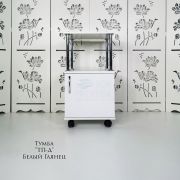 Тележка косметологическая «ТП-Д» 750*400*400 Белый глянец