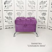 Банкетка «Cinnabon Mini» 450х650х350 с поднимающейся крышкой Ирис